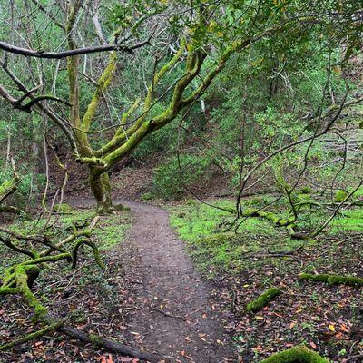 Briones Regional Park