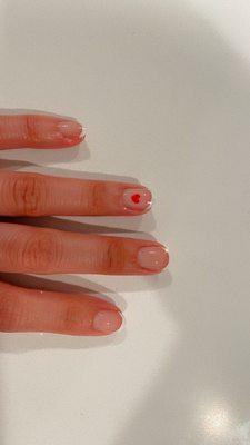 Regular acrylic French tips, oval shaped