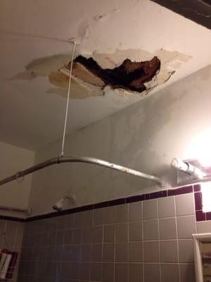 The ceiling was like this for months