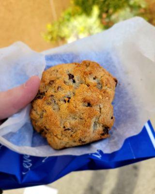 Obligatory Chocolate Chip Walnut photo