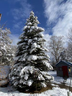 Pecos River Cabins