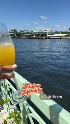 Mimosa along the intercoastal