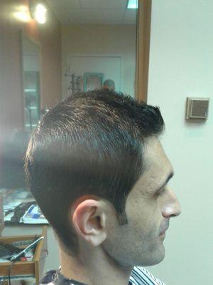 No.3 on the sides with a trim & thinning shears on top.