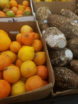 Produce is mostly rotting and covered in mold there's even a rotten grape stuck to the orange