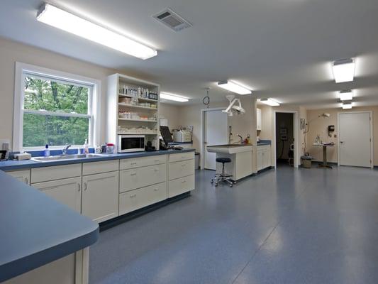 Dental area, including digital dental radiography.