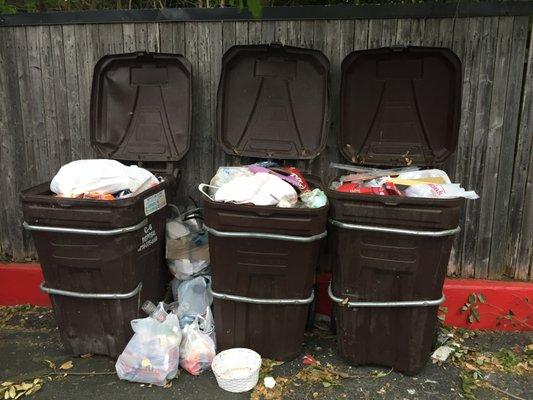 This week will be a full month that these recycling bins have not been emptied by C6.