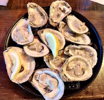 Oysters