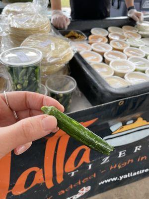 Okra chip from the hummus dip stand