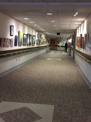 Hundreds of painting line the hallways created by patients.