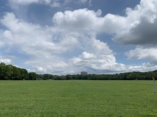 Soccer field