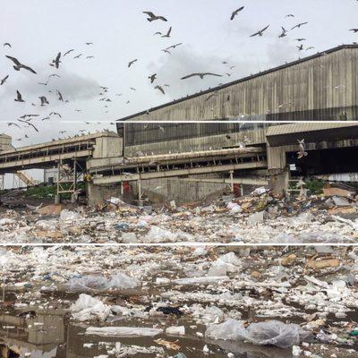 Public Disposal, aka Seagull Heaven.