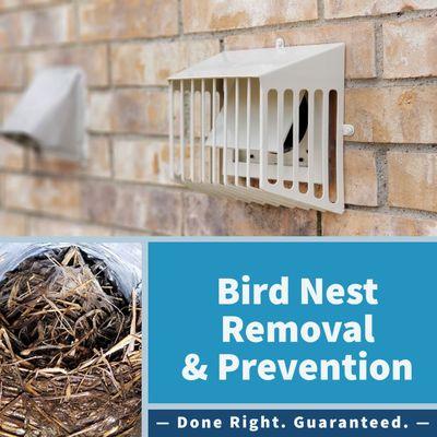 Birds love building their nests in your dryer vent. We can help.