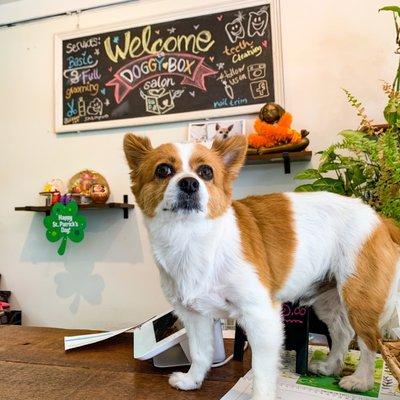 Great little greeter making sure everything goes smoothly