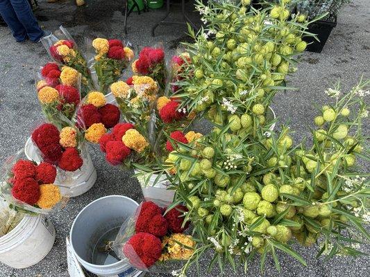 Division Street Farmers Market in Chicago, Illinois