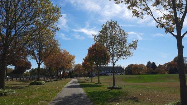 Looking south along the eastern walking trail on October 26, 2024.