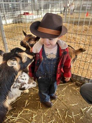 my toddler especially loved the goats!