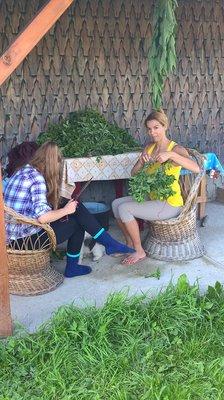 Harvesting fresh medicinal plants in the Carpathian Mountain, Romania!