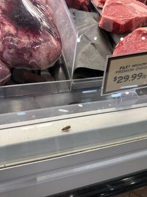 Live bugs in meat case. Gives a whole new meaning to the Fresh part of their name. Will not be back.