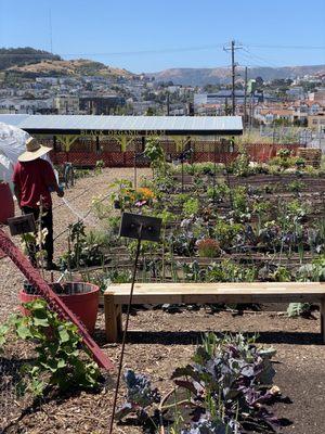 Florence Fang Community Farm