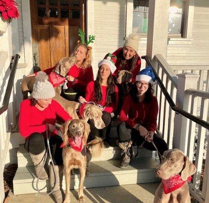 Happy Holidays 2022! We supported the Southern California Weimaraner Rescue: https://socalweimrescue.org/