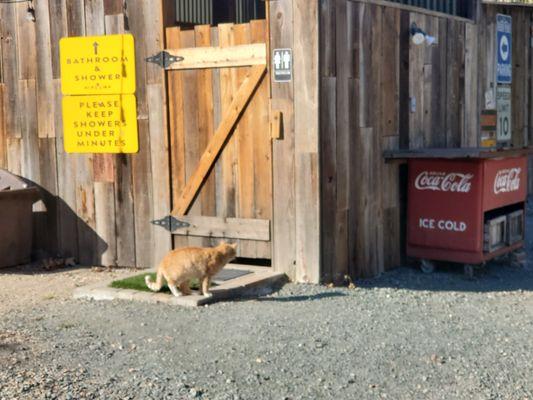 People Greeter