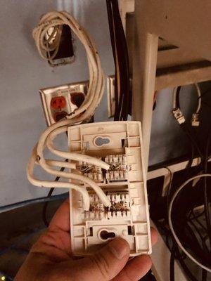 Network cable connection to a wall plate.