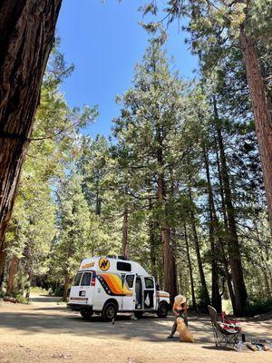 Living that van life in Sequoia National Park