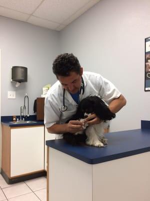 Visiting vet - Dr C - my girl LOVED him!!!