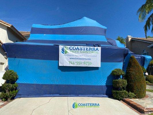 Evidence of termites around your home? Call Coasterra today!