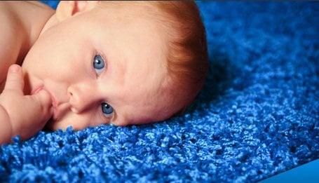 Our cleaning solutions are environmentally responsible and safe for babies and pets.