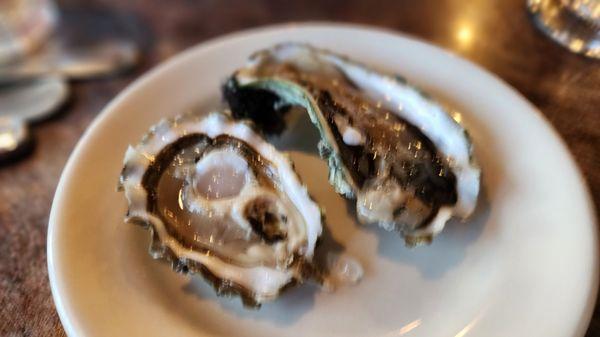 Oysters