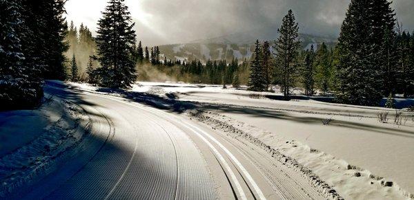 Fresh Tracks on the Beaver Meadows Trail