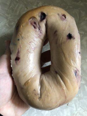 Gigantic Blueberry Bagel