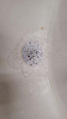 Sink, poor drainage, hair and black mold