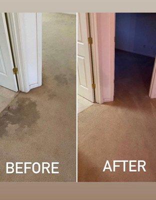 Carpet cleaning remove stains