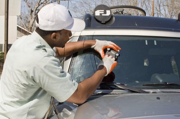 Windshield Repair Technician