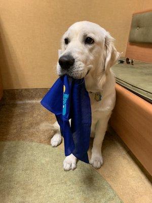 They gave him a bandanna!