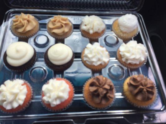 Variety of buttercream cupcakes