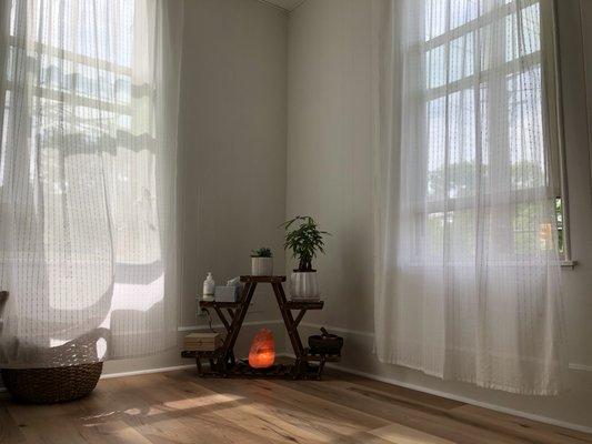 Corner display featuring plant stand and salt lamp, framed by two windows with white curtains.