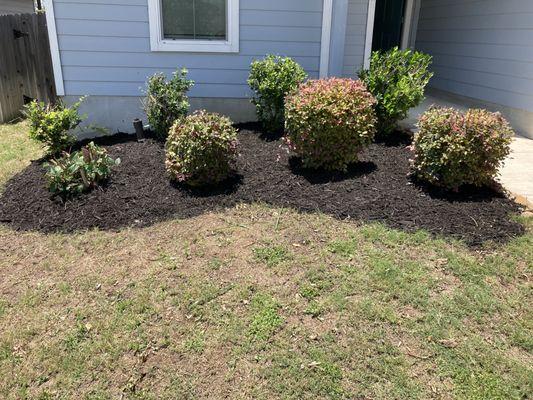 New mulch work.