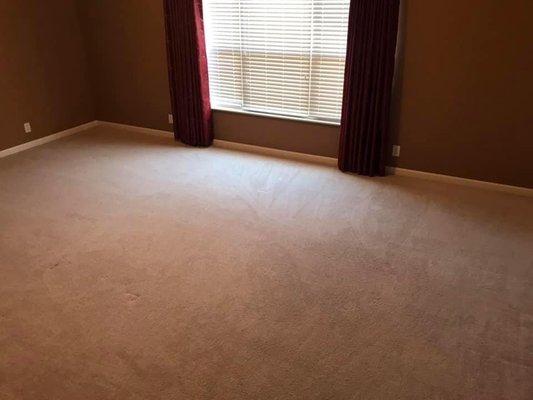 Carpet cleaning