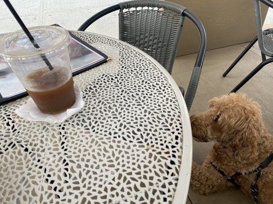 Cold brew at this great dog-friendly establishment!!