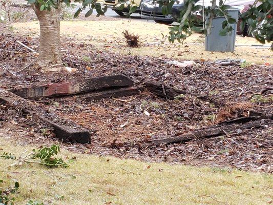 Removed plants and left this drainage ditch.  They were not expecting it