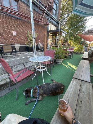 Outdoor patio w/my pup!