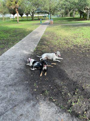 Mizner Bark Dog Park