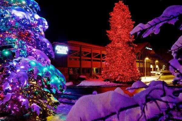 Jess Reid Tree in Park City, Utah