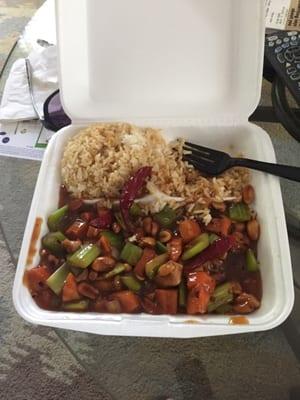 This is the Kung Pow chicken, and is wildly mediocre. I would never order this again.