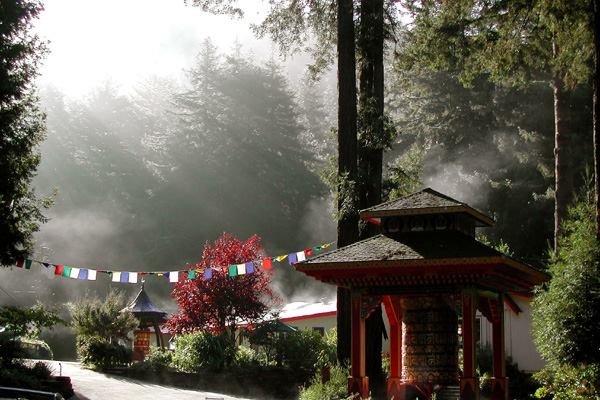 Tara Home (hospice cabin in the redwoods at Land of Medicine Buddha)