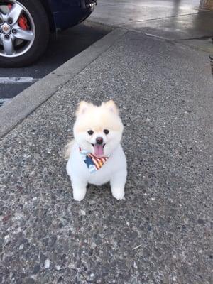 Right after his haircut!!!! Sooooo cute!!!!!