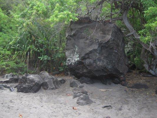 Ho'okena Beach Park